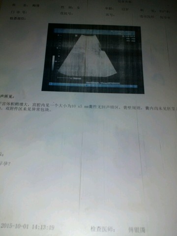 journal_insert_pic_312323333