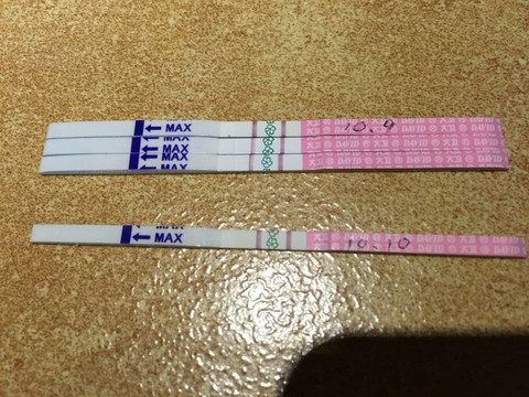 journal_insert_pic_314415518