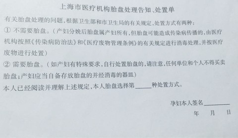 journal_insert_pic_316216348