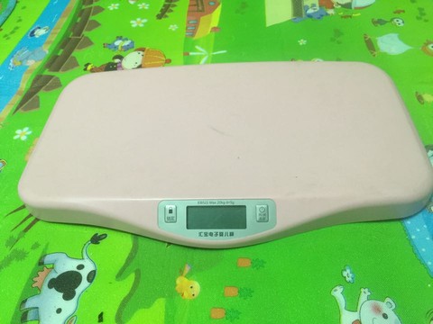 journal_insert_pic_316608087