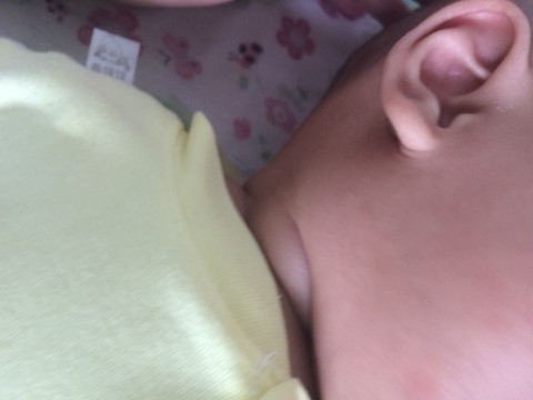 journal_insert_pic_318690401