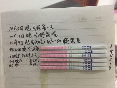 journal_insert_pic_319135088