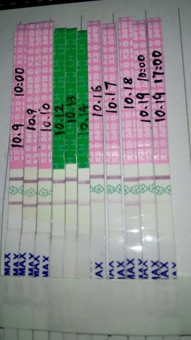 journal_insert_pic_320260189