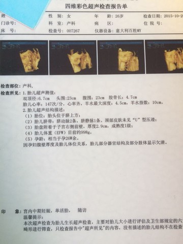 journal_insert_pic_320653337