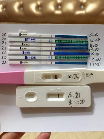 journal_insert_pic_322456790