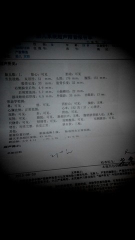 journal_insert_pic_322562246