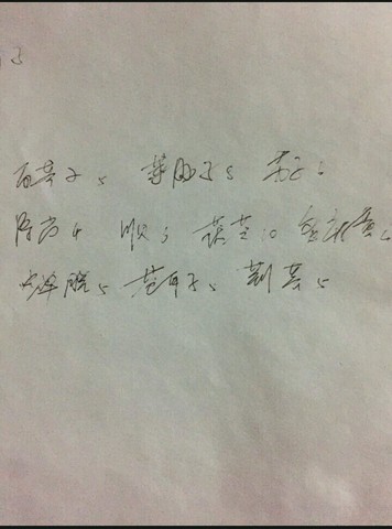 journal_insert_pic_323106202