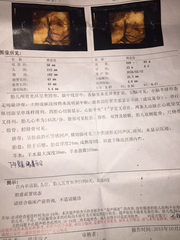 journal_insert_pic_322753701