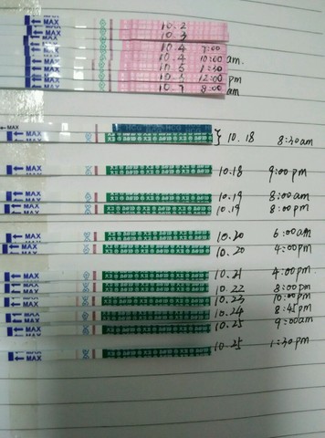 journal_insert_pic_324381428