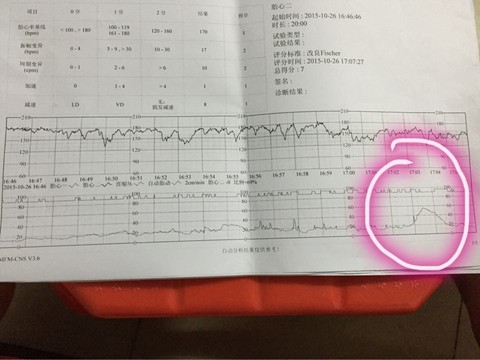 journal_insert_pic_325106605