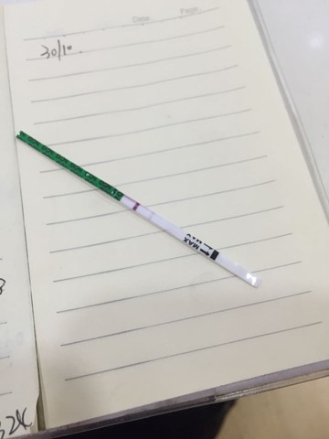 journal_insert_pic_327824421