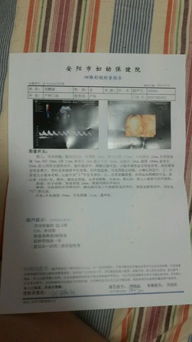 journal_insert_pic_327601694