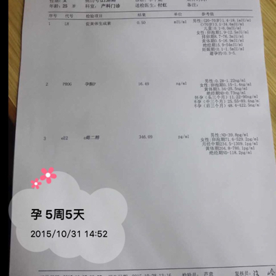 journal_insert_pic_328686445