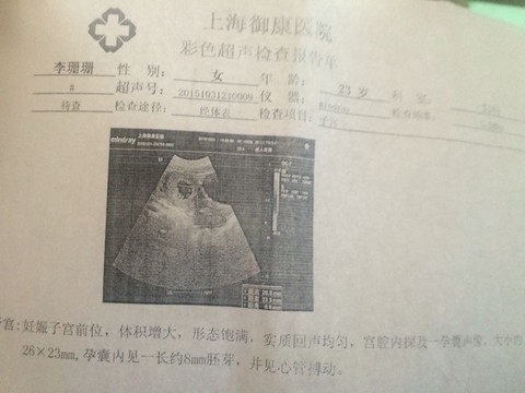 journal_insert_pic_328548680