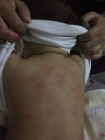 journal_insert_pic_328860212