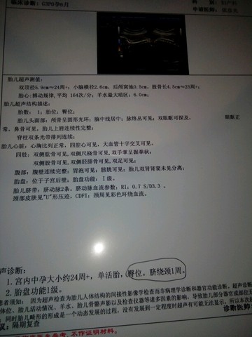 journal_insert_pic_330129389