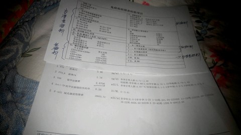 journal_insert_pic_330795309