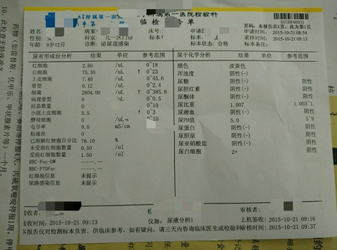 journal_insert_pic_331333267