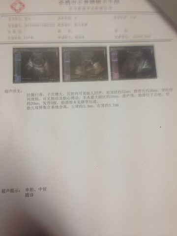 journal_insert_pic_331498237