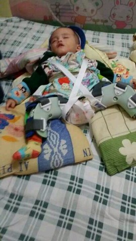 journal_insert_pic_331766021