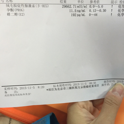 journal_insert_pic_332099970