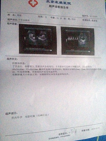 journal_insert_pic_331939686