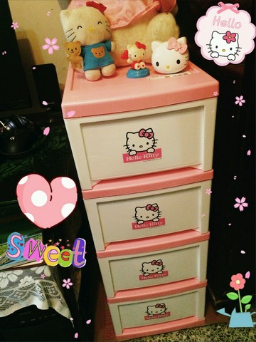 journal_insert_pic_331936117