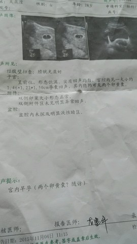 journal_insert_pic_332889903