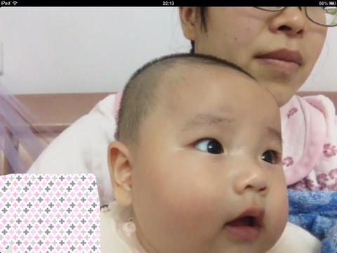journal_insert_pic_334483283