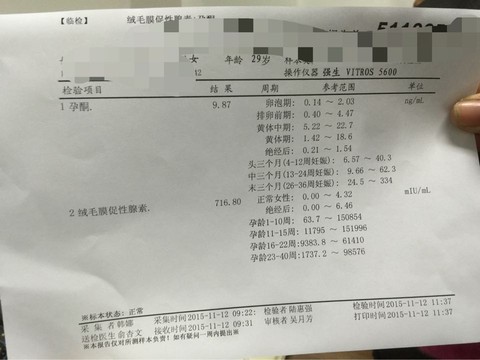 journal_insert_pic_337042660