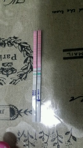 journal_insert_pic_337233194