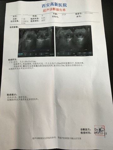 journal_insert_pic_338008127