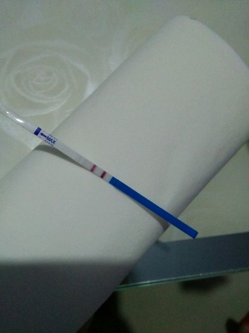 journal_insert_pic_339508821