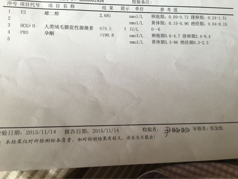 journal_insert_pic_339116099