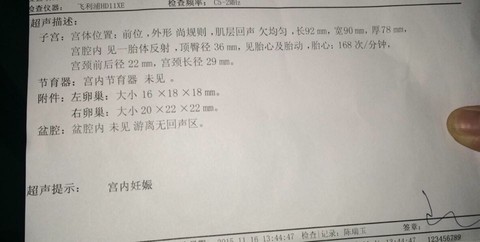 journal_insert_pic_339646363