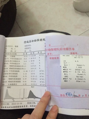 journal_insert_pic_339739729