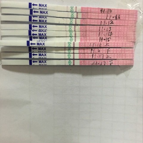 journal_insert_pic_340102347