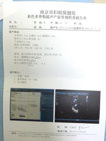journal_insert_pic_341403358