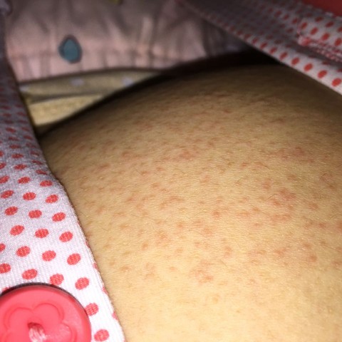 journal_insert_pic_341501632