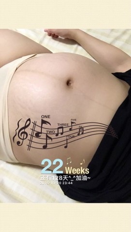 journal_insert_pic_342591405