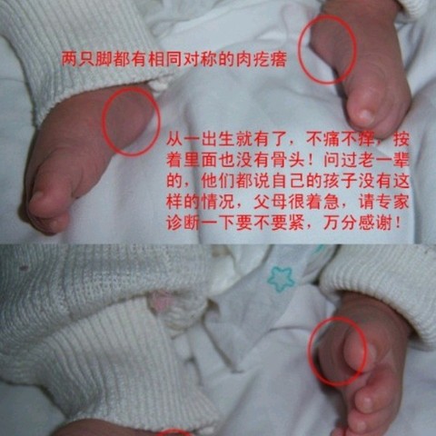 journal_insert_pic_342466962