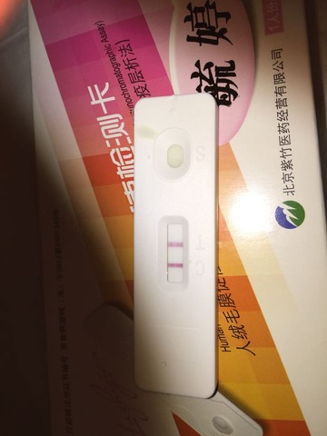 journal_insert_pic_345323110