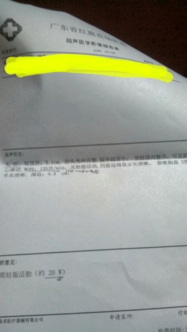 journal_insert_pic_346145877