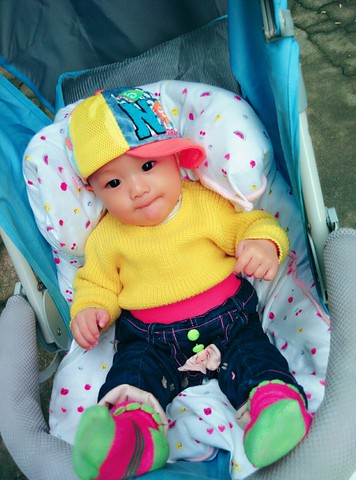 journal_insert_pic_345599924