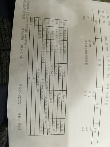journal_insert_pic_345899830
