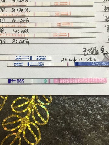 journal_insert_pic_347003821