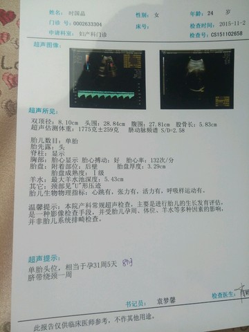 journal_insert_pic_347999338