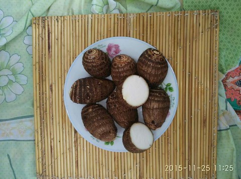 journal_insert_pic_347968544