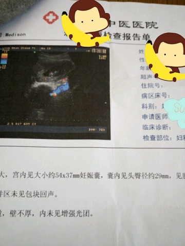 journal_insert_pic_350779121
