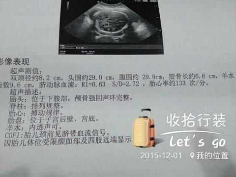 journal_insert_pic_351750650